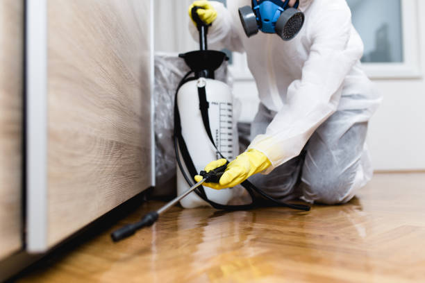 Best Termite Control Services  in Red Bank, NJ