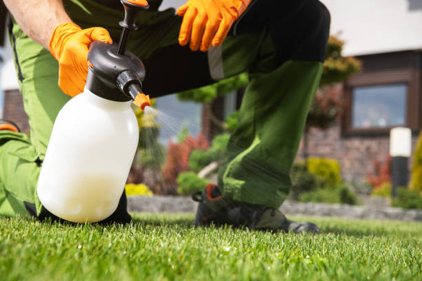 Best Spider Control Near Me  in Red Bank, NJ