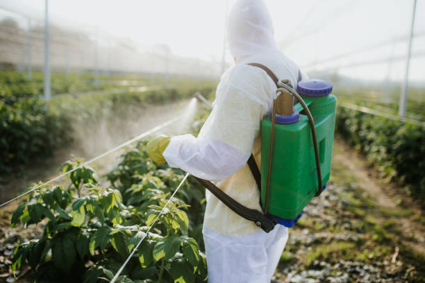 Best Affordable Pest Control Services  in Red Bank, NJ